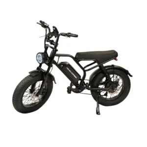 Wind horse V8 e-bike